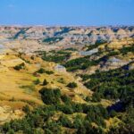 Theodore Roosevelt South Unit Self-Guided Driving Audio Tour - The Experience: What We Loved and What to Consider