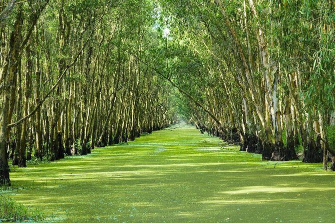 Three-Day Mekong Delta Private Tour - Including Tra Su Bird Sanctuary - The Itinerary Breakdown: What to Expect Each Day