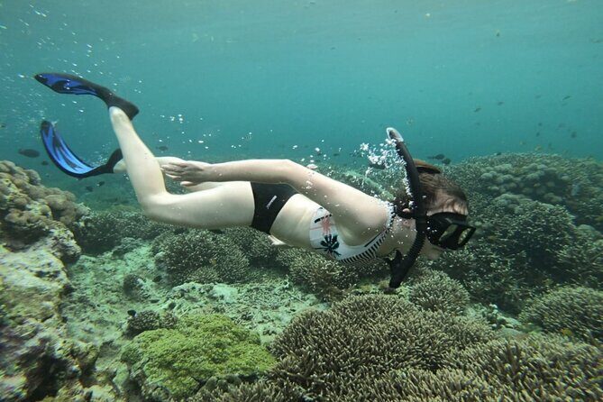Three Islands Snorkeling (3 Spots) Manta Rays - From Lembongan - Is This Tour Worth It?