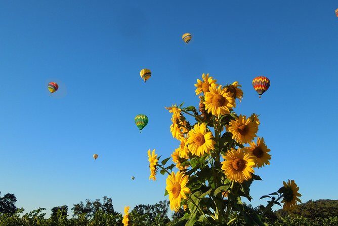 Thrilling Napa Balloon Ride: No change after 5pm the day prior to balloon tour - Starting the Day: From San Francisco to Napa