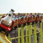Thrilling Rides & Free Buffet at Siam Amazing Park, Bangkok - Who Should Visit Siam Amazing Park?
