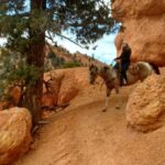 Thunder Mountain Trail: Scenic Horseback Ride - Who Will Love This Experience