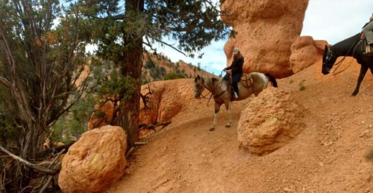 Thunder Mountain Trail: Scenic Horseback Ride - Who Will Love This Experience