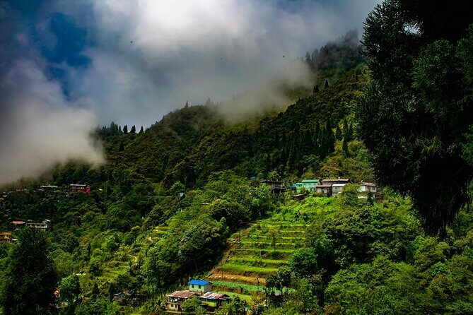Tiger Hill Darjeeling Nature Walk (3 Hours Guided Trekking Experience) - Analyzing the Value: Is It Worth It?