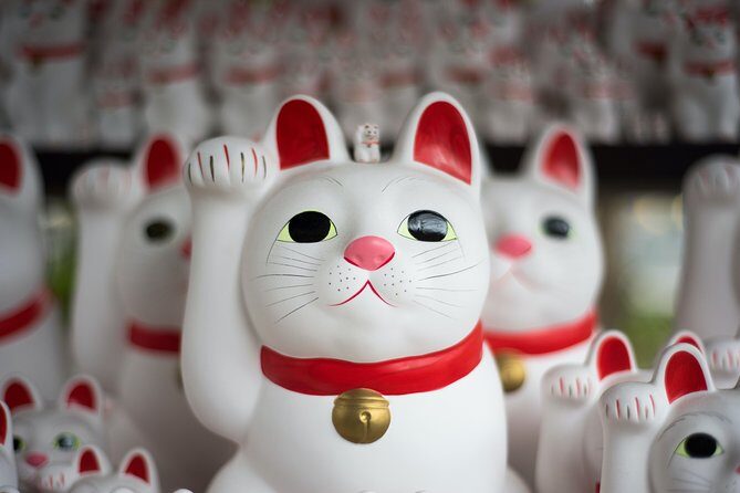 Tokyo 6 hours Customized Private Tour - Exploring the Itinerary: What to Expect