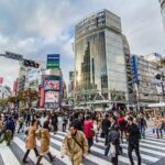 Tokyo 6hr Instagram Highlights Private Tour with Licensed Guide - The Practicalities: What to Expect