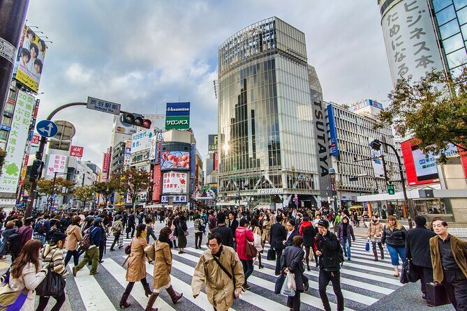 Tokyo 6hr Instagram Highlights Private Tour with Licensed Guide - The Practicalities: What to Expect
