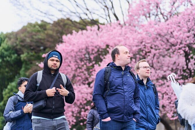 Tokyo Castle & Imperial Palace , Historical Walking Tour - The Practical Side: Logistics, Cost, and What to Expect