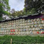 Tokyo City Attractive One Day Tour - FAQ