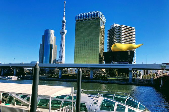 Tokyo Customizable Highlight Tour With A Licensed Private Guide - Practicalities and Considerations