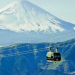 Tokyo Day Tour in Mt. Fuji, Lake Ashi Cruise and Owakudani Cable - Practical Details and Tips for Travelers