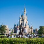 Tokyo Disneyland Round Trip Shared Transfers with Admission Tickets - The Sum Up: Who Is This Tour Best For?