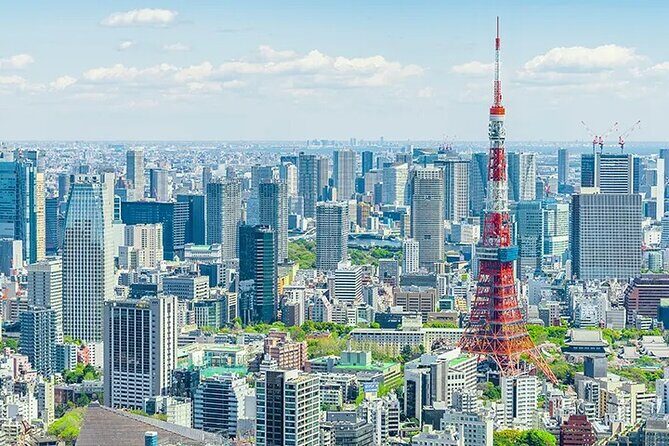 Tokyo Layover 5 Hours Private Tour - The Experience from Reviews: What Travelers Say
