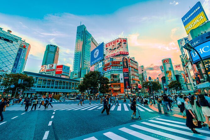Tokyo Like a Local: Customized Private Tour - The Real Experience: Insights from Reviewers