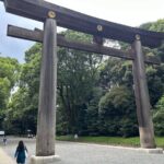 Tokyo Morning Tour: Asakusa, Meiji Shrine and Tsukiji Fish Market - Whats Included and Whats Not?