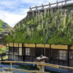 Tokyo: Mount Fuji Must-see Attractions One Day Sightseeing Tour - Transportation, Timing, and Group Dynamics