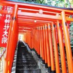 Tokyo Off the Beaten Path 6hr Private Tour with Licensed Guide - What Travelers Love About This Tour