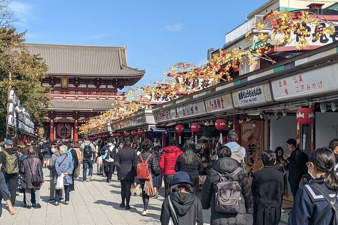 Tokyo Private Car Tour: Professional Guide and Driver/Optional airport xfer - Senso-ji Temple and Asakusa: Tokyo’s Old Charm