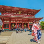 Tokyo Private Chauffeur Tour - Fully Guided - What’s Included and What’s Not