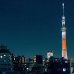 Tokyo Private Customizable Half Day Tour - A Deep Dive into the Experience