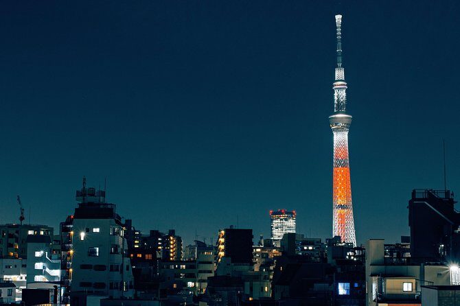 Tokyo Private Customizable Half Day Tour - A Deep Dive into the Experience