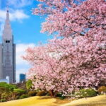 Tokyo Private Day Tour by Car with English speaking Driver - What It Means for You