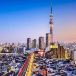 Tokyo Private Driving Tour by Car or Van with Chauffeur - The Practical Side: Transportation, Timing, and Value