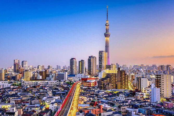 Tokyo Private Driving Tour by Car or Van with Chauffeur - The Practical Side: Transportation, Timing, and Value