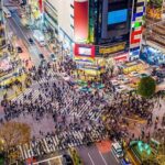 Tokyo Private Driving Tour by Car/Van with English Chauffeur - Who Should Consider This Tour?