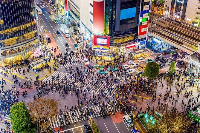 Tokyo Private Driving Tour by Car/Van with English Chauffeur - Who Should Consider This Tour?