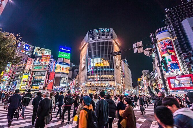 Tokyo Private Night Tour by Car/Van - English speaking chauffeur - Who Is This Tour Perfect For?