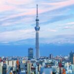 Tokyo Private Sightseeing Tour with English Speaking Driver - A Breakdown of the Itinerary