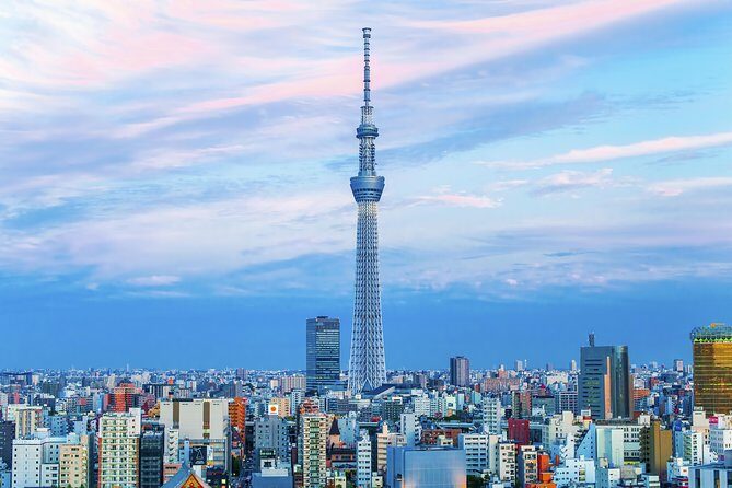 Tokyo Private Sightseeing Tour with English Speaking Driver - A Breakdown of the Itinerary