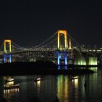 Tokyo Private Tour by Car/Van with English Speaking Driver - What Our Reviewers Loved