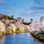 Tokyo Private Tour by Vehicle with English-Speaking Chauffeur - Who Should Consider This Tour?
