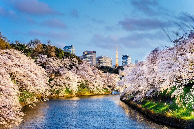 Tokyo Private Tour by Vehicle with English-Speaking Chauffeur - Who Should Consider This Tour?