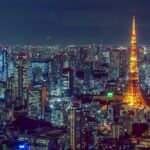 Tokyo Private Tour GREEN NUMBER PLATES - Who Would Love This Tour?