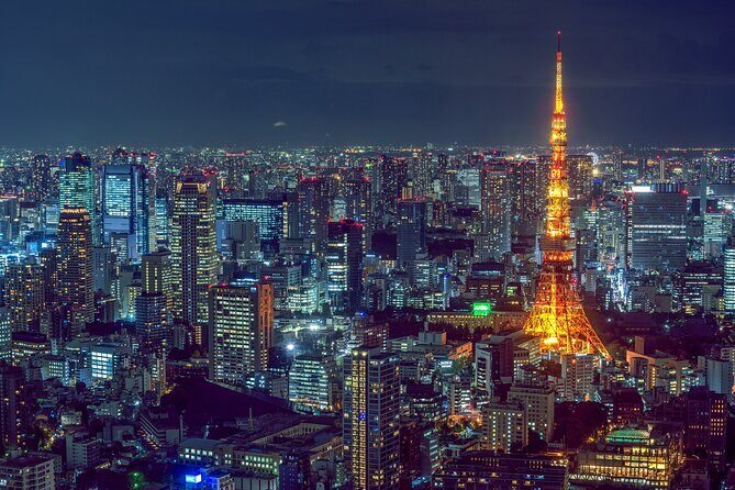 Tokyo Private Tour GREEN NUMBER PLATES - Who Would Love This Tour?
