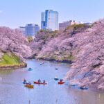 Tokyo Self-Guided Audio Tour - The Sum Up: Who Should Consider This Tour?