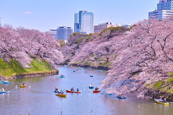 Tokyo Self-Guided Audio Tour - The Sum Up: Who Should Consider This Tour?