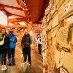 Tokyo: Shinjuku Historical Walking Tour & Secret Backstreets - The Sum Up: Who Will Love This Tour?