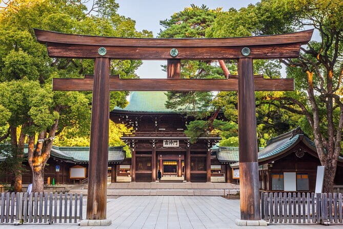 Tokyo Small Group Tour with Guide - Final Thoughts: Is This Tour Right for You?