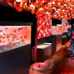 Tokyo Sumida Aquarium E-Ticket with Optional Tokyo Metro Pass - Final Thoughts