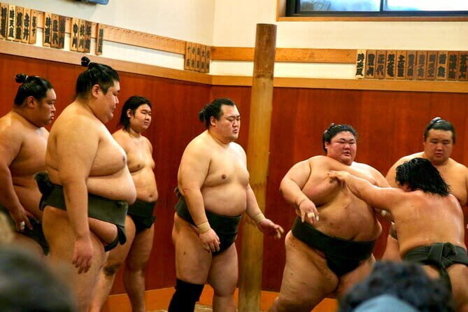 Tokyo Sumo Morning Practice & Exclusive Behind-the-Scenes Access - A Deep Dive into the Sumo Morning Practice Tour
