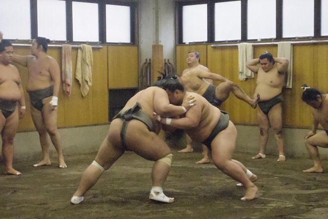 Tokyo Sumo Morning Practice Tour at Stable - Authenticity and Value
