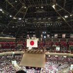 Tokyo Sumo Wrestling Tournament Experience - Who Should Consider This Tour?