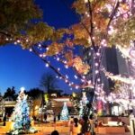 Tokyo Winter Illumination Ebike Tour - The Sum Up