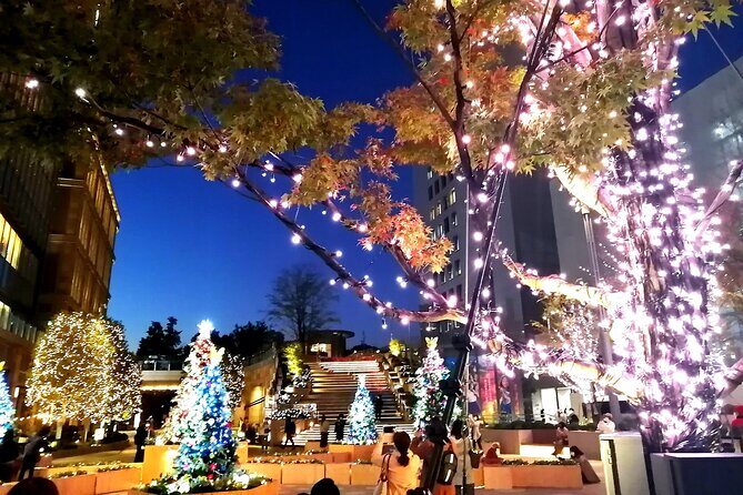 Tokyo Winter Illumination Ebike Tour - The Sum Up