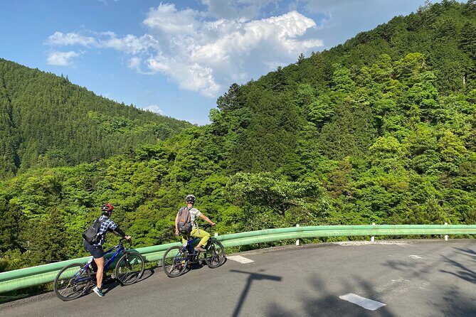Tokyo's hidden nature cycling tour - Okutama Historical Road Tour - Who Is This Tour Best For?