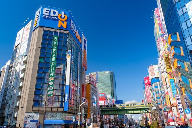 Tokyos Must-Sees: 5-hour Tsukiji, Akihabara & Asakusa Tour - The Sum Up: Who Will Love This Tour?